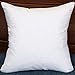 StarryBedding Down and Feather Square 18x18 Inch Throw Pillow Insert, Set of 2, 100% Cotton
