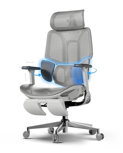 Preis-Update: Hbada Ergonomischer Bürostuhl,... für 329,00€ Jetzt ansehen!