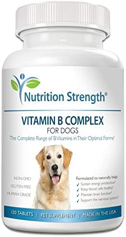 Vitamin b and c for dogs Clearance
