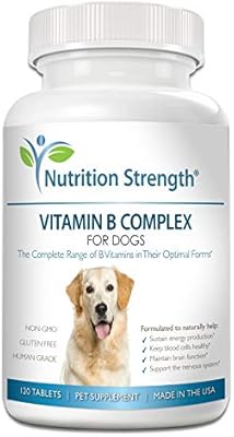 Nutrition Strength Vitamin B for Dogs 