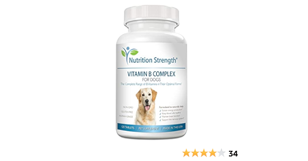 b complex dosage for dogs