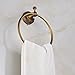 Rozin® Antique Brass Bath Towel Ring Rack Wall Mounted