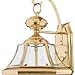 Quoizel Newbury Outdoor Wall Lantern, 20 Inch 2-Light Polished Brass Wall Sconce, French Country Exterior Wall Lantern Fixture, E12 Base, Clear Glass, Outside Lights for Patio, Porch, Garage or Yard
