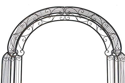 CLP Rosenbogen Alessia I Rankhilfe aus Eisen I Romantischer Rankenbogen I erhältlich, Farbe:Bronze – Bild 4