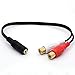 BSHTU 3.5mm Female to Dual RCA Phono Stereo Splitter Cable 3.5 Jack Socket to 2RCA Audio Adapter Extender Cord 8inch/20cm (2RCA Female)