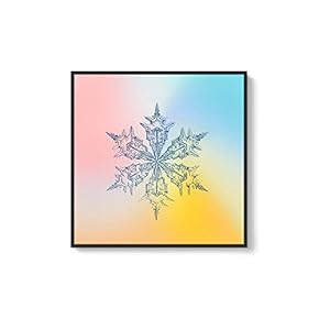 Framed Canvas Wall Art for Living Room, Bedroom Snowflake Theme Canvas Prints for Home Decoration Ready to Hang - 16x16 inches