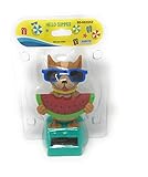 Solar Powered Dancing Summer Silly Dog Eat Watermelon.