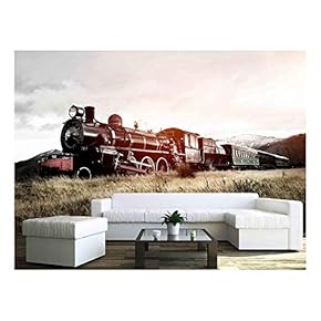 Steam Train in A Open Countryside Transportation Concept - Removable Wall Mural | Self-Adhesive Large Wallpaper - 66x96 inches