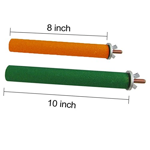 Borange Bird Perch Parrot Stand Parakeet Natural Wood Rough Sand Perches Grinding Nail Small Medium Birds Parakeet Cockatiels Conure Cage Accessories Pack of 2 (20cm/8inch)