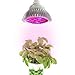 Apollo Horticulture 24W LED Grow Light w/ Red & Blue LED Spectrum for Indoor Plant Growing