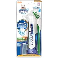 Nylabone Advanced Oral Care Natural Dog Dental Kit Peanut Flavor 2.5 oz.