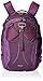 Osprey Packs 10000570 Nova Daypack, Mariposa Purple