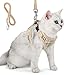 Small Dog Harness and Leash Set, Adjust Mesh Dog Harness for Small Dogs/Chihuahua, Lightweight Mesh Cat Harness,Padded Mesh Material for Breathability and Secure Fit (S)