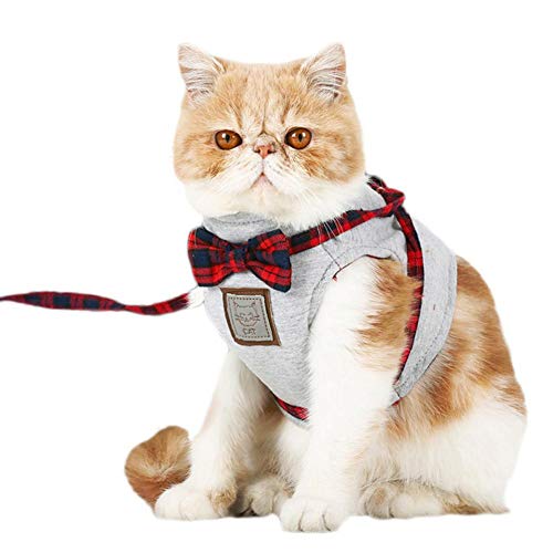 Bestmemories Dog Retractable Leads Dog Traction Rope Pet Leash Set Trendy Cat Harness for Walking Traveling Outside