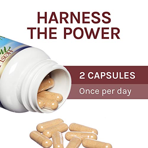 Host-Defense-Reishi-Capsules-Supports-General-Wellness-and-Vitality-Daily-Mushroom-Mycelium-Supplement-USDA-Organic-Gluten-Free-60-Vegetarian-Capsules-30-Servings