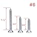 eBoot Stainless Steel Wood Screws Phillips Flat Head Screws Self Tapping Screws, 3 Sizes, 150 Pieces