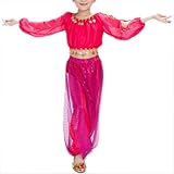 BellyLady Kid Tribal Belly Dance Costume, Harem Pants & Top For Halloween