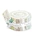 Darling Little Dickens Jelly Roll (49000JR) by Lydia Nelson for Moda