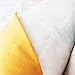 Plain Throw Pillow Cushion Inserts: White Square Throw Pillows for Couch, Sofa, Bed - 20 Inch x 20 Inch Pillow Insert, Set of 2 - Euro Accent Pillow Stuffers for Sham Covers - Large Filler Cushions