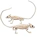 SCS Direct Halloween Lizard Skeletons Set of 2-15