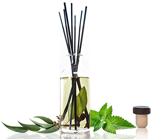 Eucalyptus Spearmint STRESS RELIEF Reed Diffuser Oil & Reed Sticks Gift Set | Urban Naturals Air Freshener for Bathroom, Kitchen, Bedroom | Best Relaxation Gift Idea