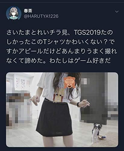 Amazon Co Jp 歌い手 春茶着用 東京ゲームショー サイタマtシャツ ホビー Amazon Co Jp 歌い手 春茶着用 東京ゲームショー サイタマtシャツ ホビー