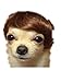 Tanya Amazing Gentleman Style Pet Wig Dog Wig 1pc Brown Color