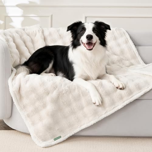 Soft Cozy Waterproof Twin Blanket for Bed Room