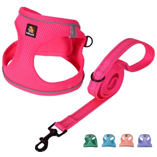 BELLA & PAL Dog Vest Harness for Small Medium Dogs, No Pull Dog Harness for Small Dogs with Leash,Comfortable Air Mesh Dog Harness with Reflective Strip(Hot Pink,XXS)