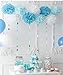 Blue Birthday Party Decorations Baby Blue Winter Holiday Wonderland Frozen Party Supplies Snow Theme Party Decor Baby Boy First Birthday Whales Boy Baby Shower Decorations