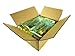 Candy Blox 2 Lbs