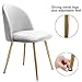 ZHENGHAO Upholstered Velvet Desk Chairs, Tufted Accent Living Room Chairs with Gold Plating Metal Legs for Living Room/Occasional/Vanity/Patio, Set of 2 (Thunder Gray)