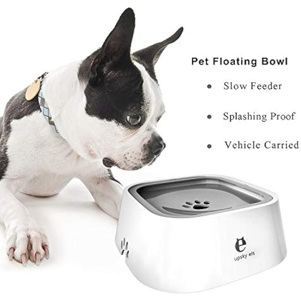 slow water feeder for dogs