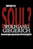 What Is Soul?