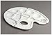 Paint Tray Palettes Xpassion Art Palette for Painting White