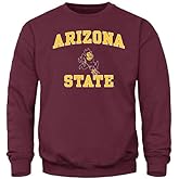 Barnesmith Spirit Logo, Adult Unisex, Crewneck Sweatshirt for College