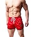 Powerhouese Men's Mesh Short