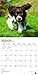 English Springer Spaniels 2019 Calendar