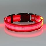 Tzou Dog Safety Collar, Red, Medium