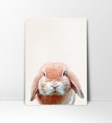 Bunny Print, Rabbit Print, Bunny Wall Art, Rabbit Art Print, Bunny Photography, Kid Room Wall Art, Bunny Art Print, Animal Print, Photography Print, Animal Photography, Nursery Art, 8x10
