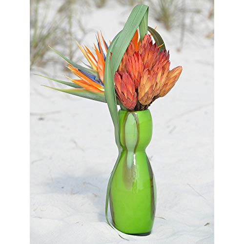 Afloral Natural Dried Flower Protea Repens Pods in Red Orange - 6 per Bunch