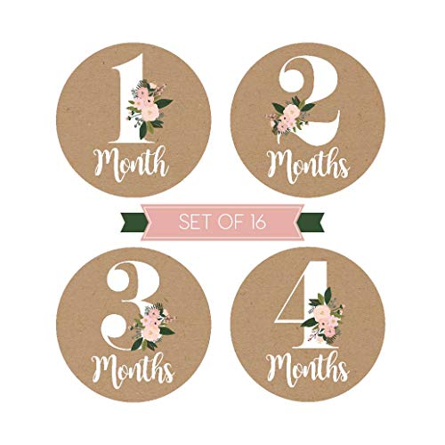 16 Rustic Floral Baby Girl Milestone Stickers, 12 Monthly Photo Picture Props for Infant Onesie, 1st Year Belly Decals, Scrapbook Memory Registry Gift, Best Shower Basket Present, Flower Birth Months - Thumbnail 2