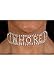 Desire Fashions Sexy Rhinestone Whore Choker Necklace Costume Accessory Jewelry Naughty Gift
