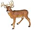 Safari Ltd. Whitetail Buck Figurine - Detailed 4.95