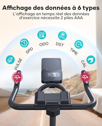 TOPUTURE Apartment Bike, LCD Display and APP Compatible, 100 Adjustable Resistance, Silent Indoor Bike with Damping System, Heart Rate, Capacity 160kg