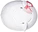 Bell Child's Hello Kitty Adventurer Multi-Sport Bike Helmet