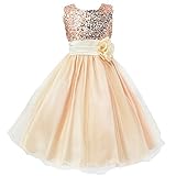 Z.D Girls Wedding Dress Ball Gown Bridesmaid Tull Sequined Sleeveless Dress