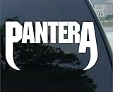 Pantera Vinyl 6