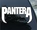 Pantera Vinyl 6