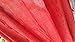 Bestyou Women's Rayon Kimono Cardigan Swimsuit Cover up Dress Swimwear (Red)
